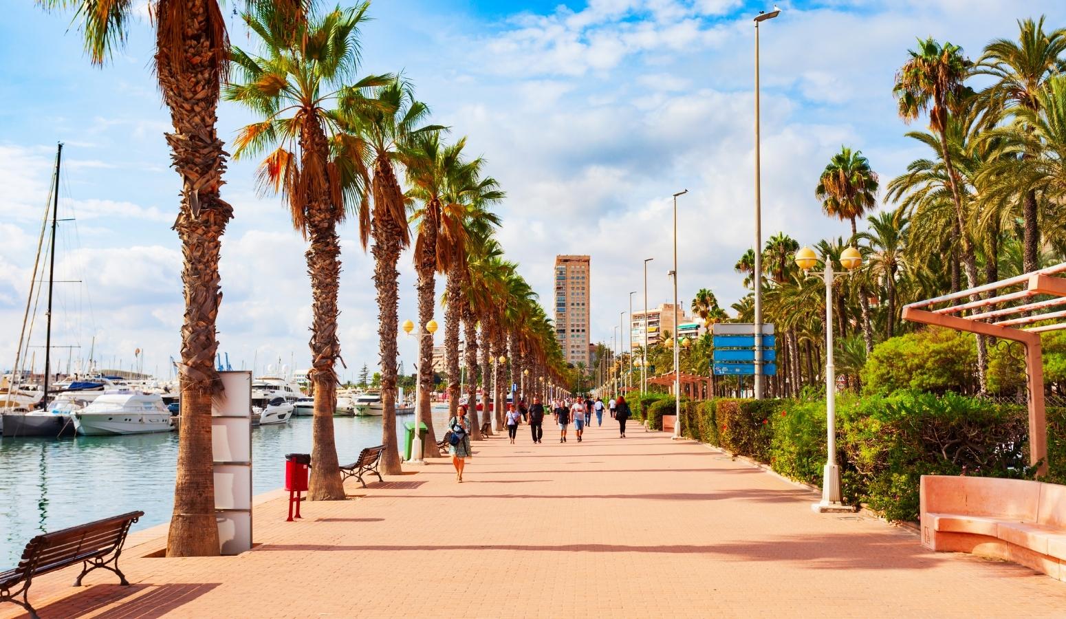 oferta-fin-de-ano-torrevieja